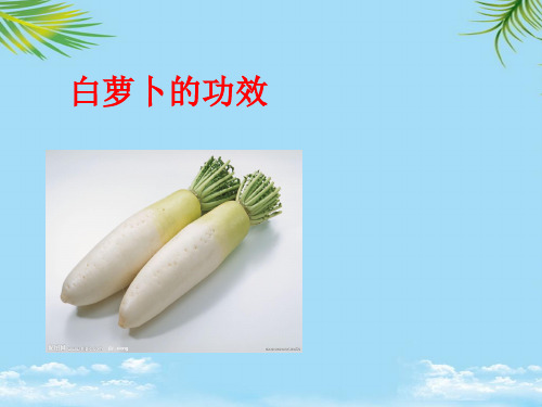 【精】白萝卜的功效