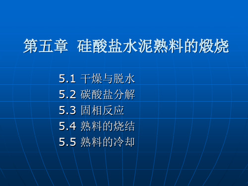 第五章 熟料的煅烧