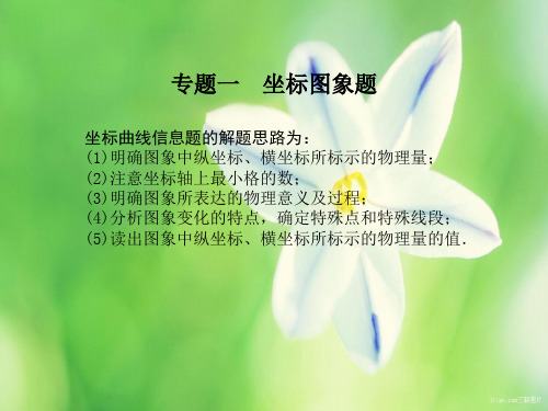 中考物理一坐标图象题课件