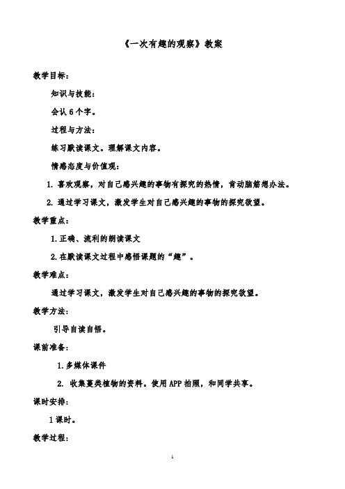 推荐精品语文鲁教版(五四制)小学二年级下册《一次有趣的观察》优质课教案