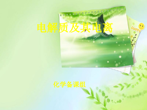 电解质及其电离PPT教学课件