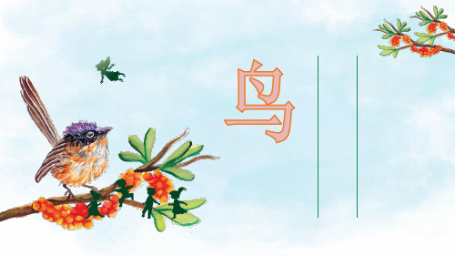 初中生物八上  5.1.6 鸟