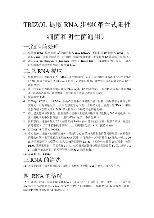 RNA提取自我总结