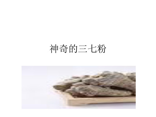 神奇的三七粉