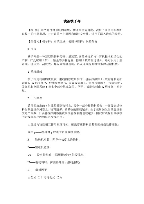 浅谈核子秤