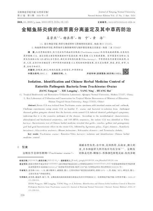 金鲳鱼肠炎病的病原菌分离鉴定及其中草药防治