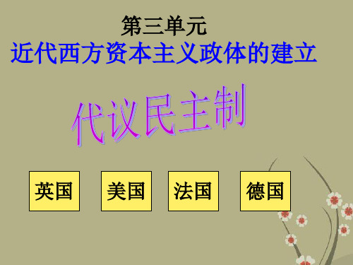 高一历史必修1 渐进的制度创新7-岳麓版 ppt