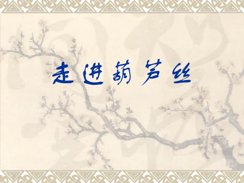 走进葫芦丝.pptx123