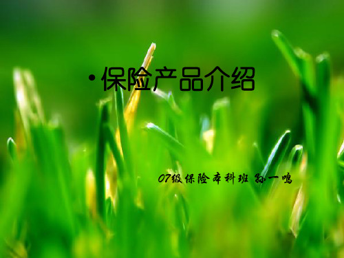 企业财产保险风险评估报告