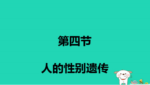 新人教版八年级生物下册人的性别遗传(1)ppt课件