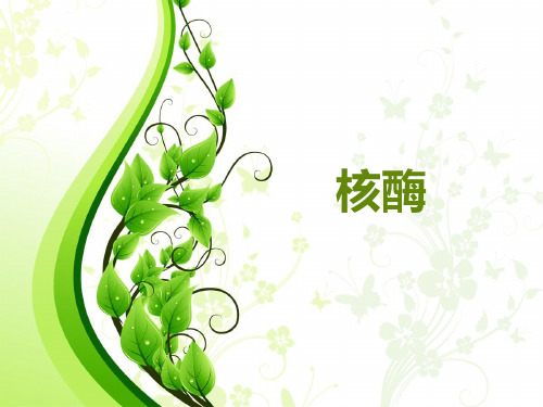 核酶的发现、结构、功能