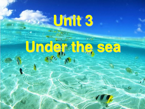 选修7_unit3_单词