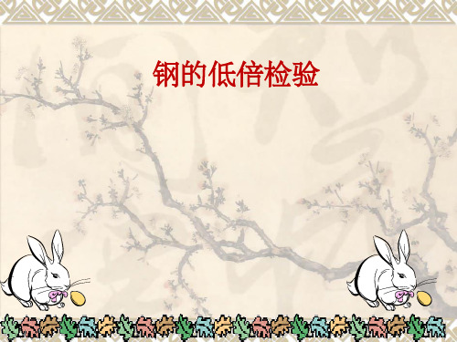 低倍组织检验