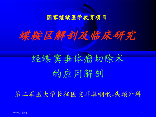 鼻中隔应用解剖 ppt课件
