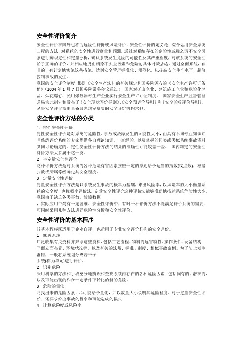 安全性评价
