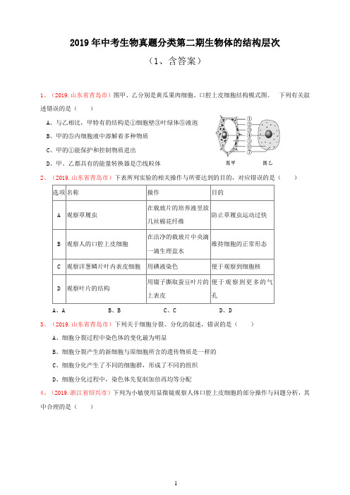 2019年中考生物真题分类：生物体的结构层次2(含答案)