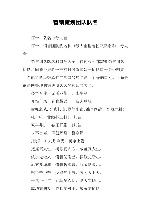 营销策划团队队名