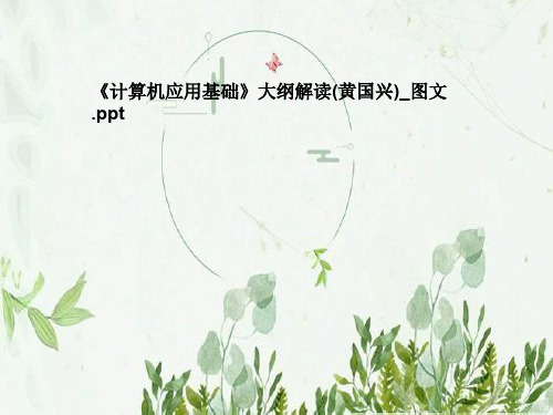 《计算机应用基础》大纲解读(黄国兴)_图文