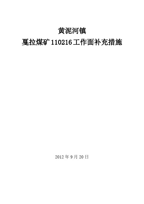 120216措施补充