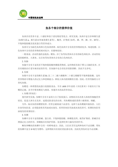 鱼各个部分的营养价值