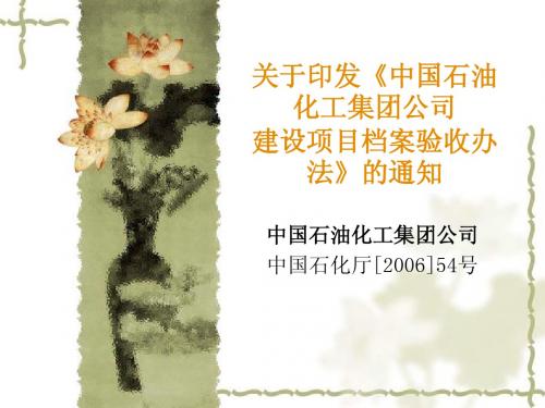 中石化建设项目档案验收办法