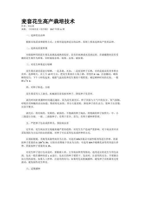 麦套花生高产栽培技术