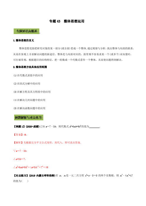 2021年中考数学专题复习 专题43  整体思想运用(教师版含解析)