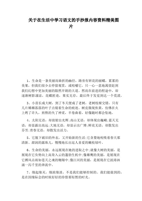 关于在生活中学习语文的手抄报内容资料精美图片