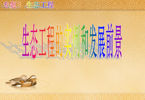 5.2 生态工程的实例和发展前景