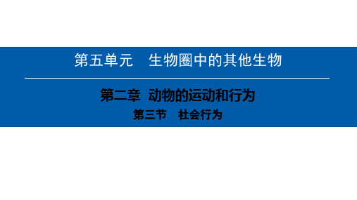 第五单元第二章第三节 社会行为