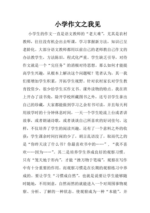 小学作文之我见