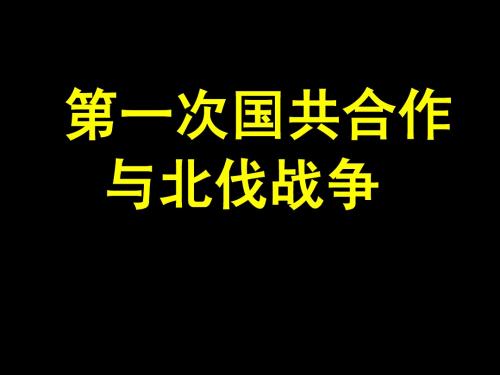 第一次国共合作与北伐战争(2014年)