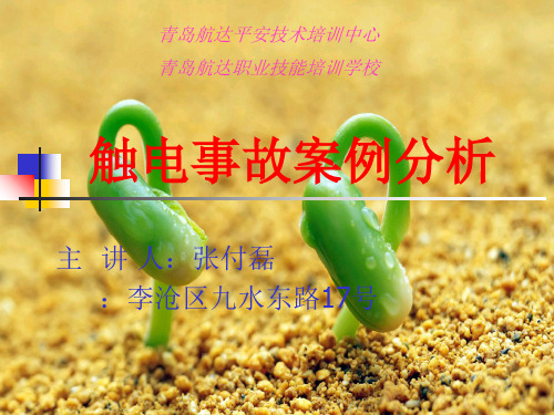 触电事故案例分析幻灯片PPT