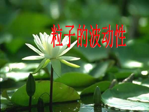 人教版高中物理选修35 第17章 第3节 粒子的波动性(共19张PPT)