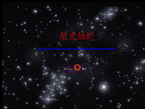 梅高-唐山啤酒品牌行销策略规划
