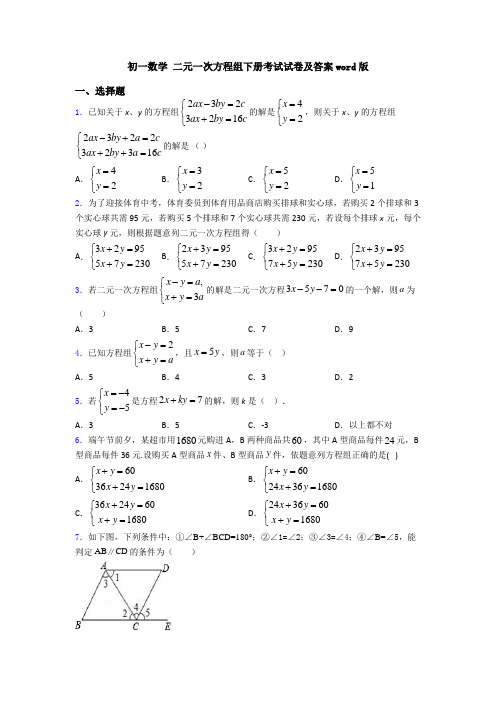 初一数学 二元一次方程组下册考试试卷及答案word版