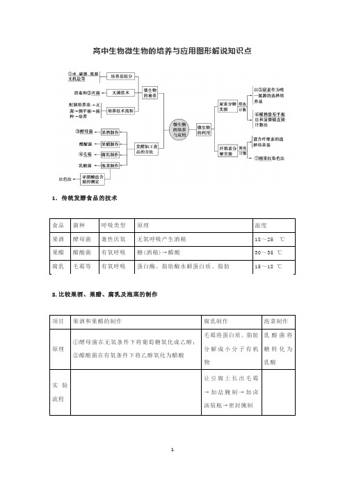 高中生物微生物的培养与应用图形解说知识点