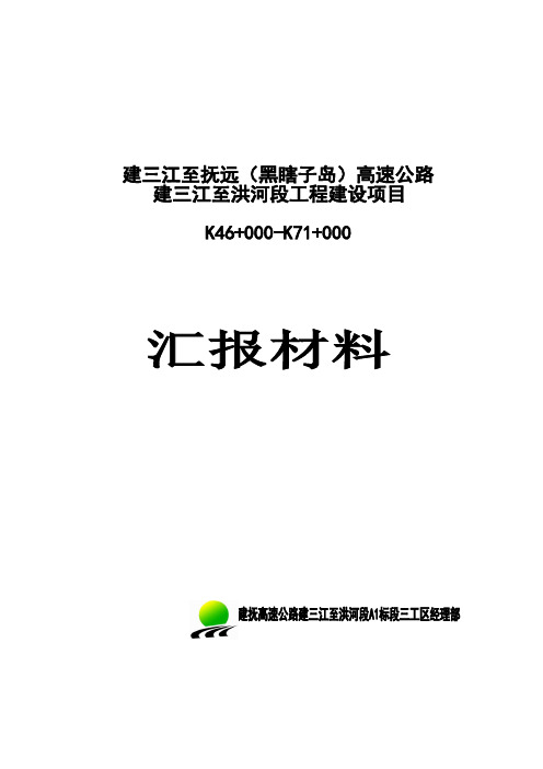 A1标段三工区汇报材料