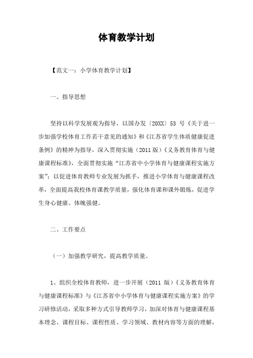 体育教学计划