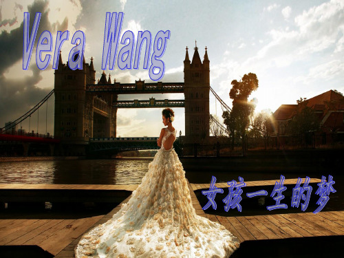 vera wang 婚纱