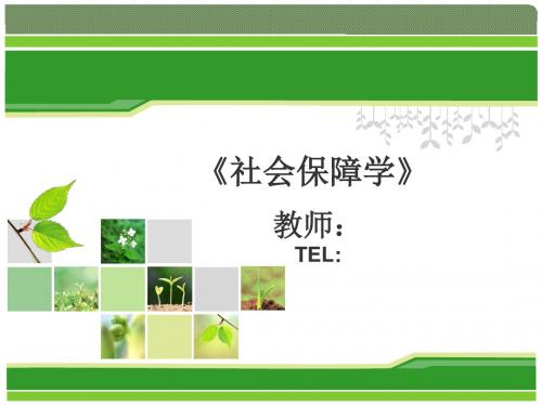 社会保障学 第一章 社会保障的制度结构.