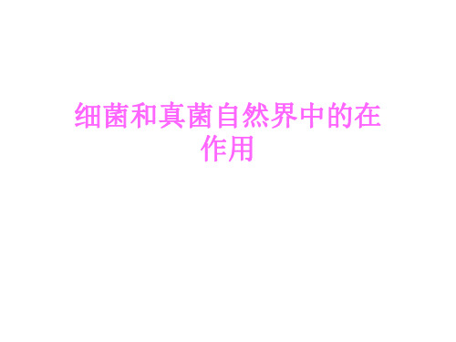 细菌和真菌