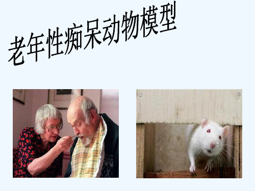 失眠动物模型的建立