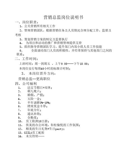 营销总监岗位说明书