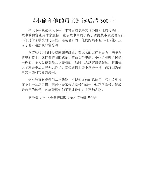 《小偷和他的母亲》读后感300字
