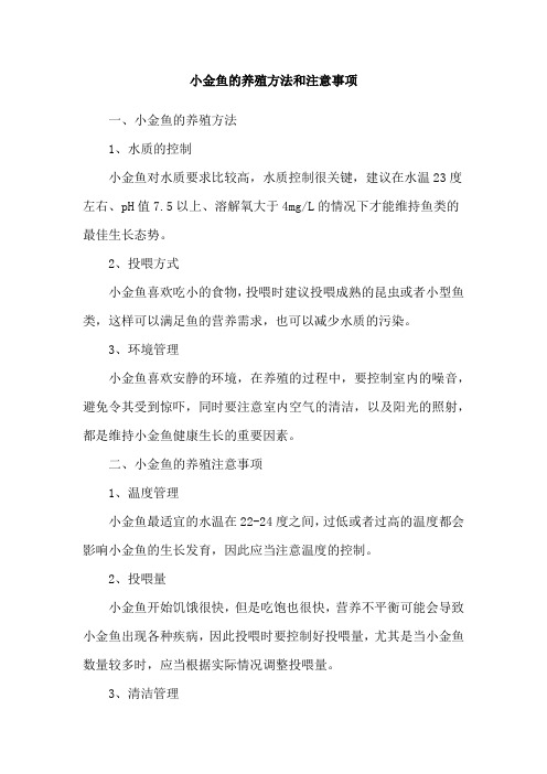 小金鱼的养殖方法和注意事项