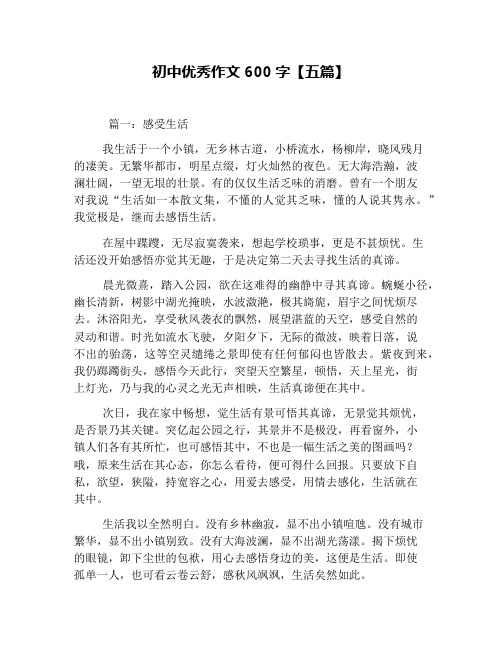 初中优秀作文600字【五篇】