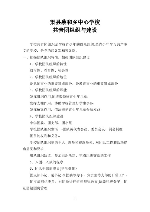 学校共青团组织与建设
