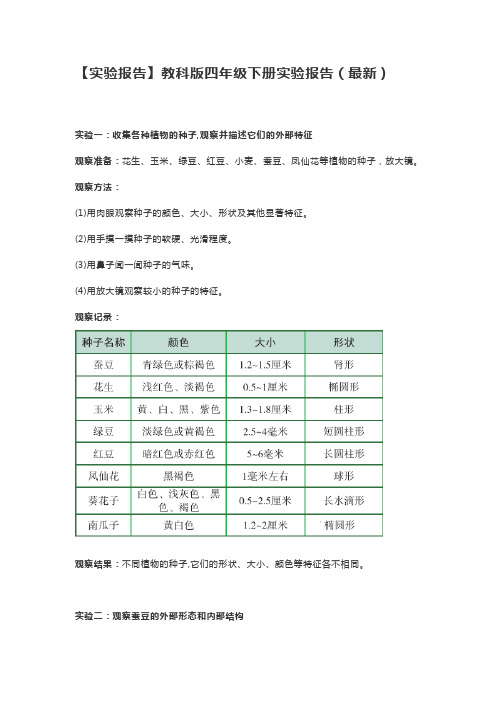 【实验报告】教科版四年级下册实验报告(最新)