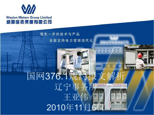 国网376.1-2009规约报文解析